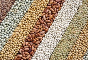 Mixture of dried lentils, peas, soybeans, beans  - background